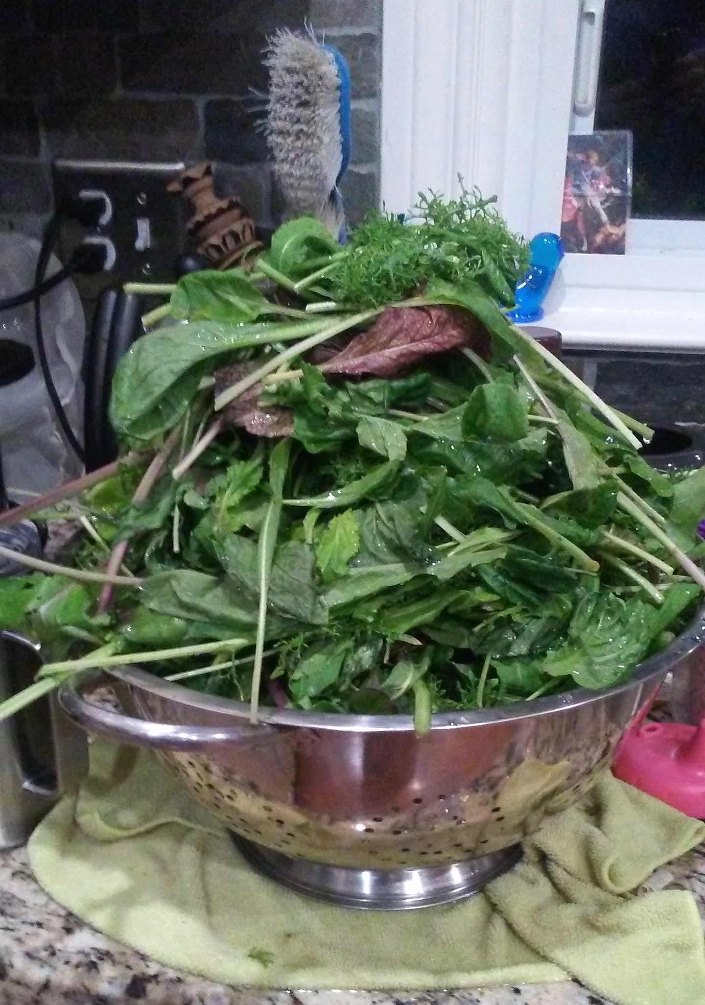 a steel colander piled high with collard greens